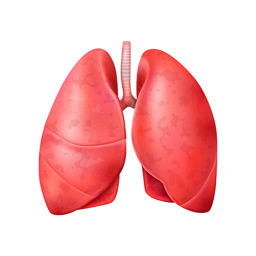 Respiratory product category